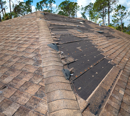 Roof Repair